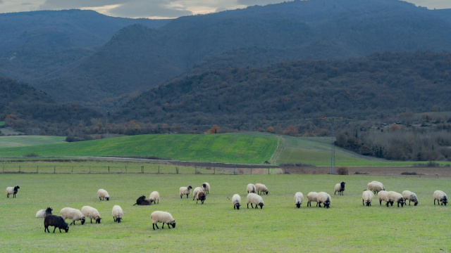 Valle de Améscoa