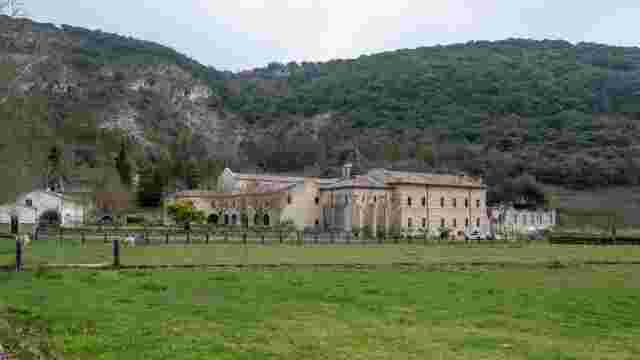 Viguria