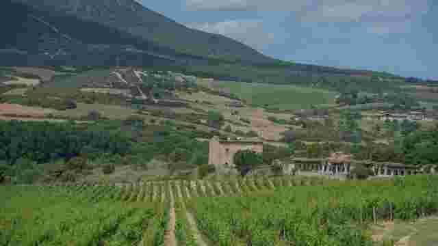 Bodega Arínzano