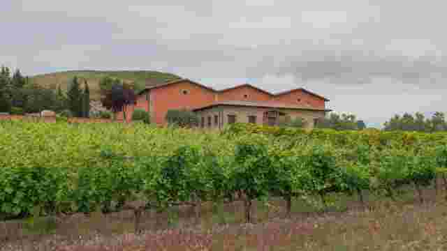 Bodegas y Viñedos Alzania