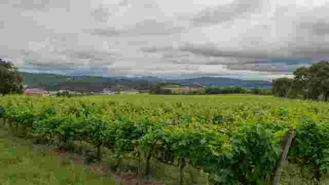 Bodegas Pago de Larrainzar