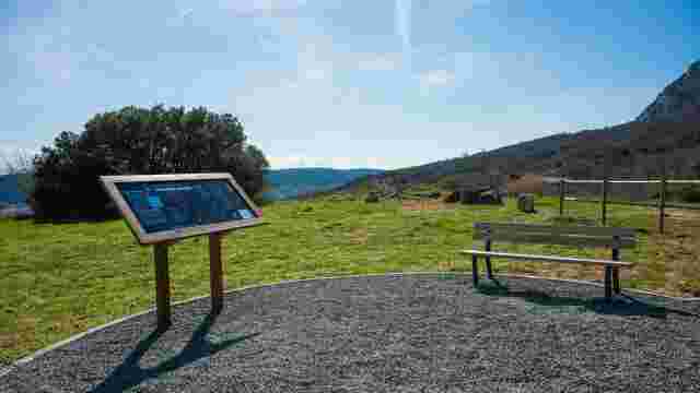 Mirador Starlight