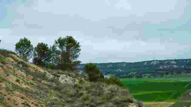 Pinares de Lerín