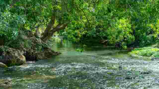 Río Ega