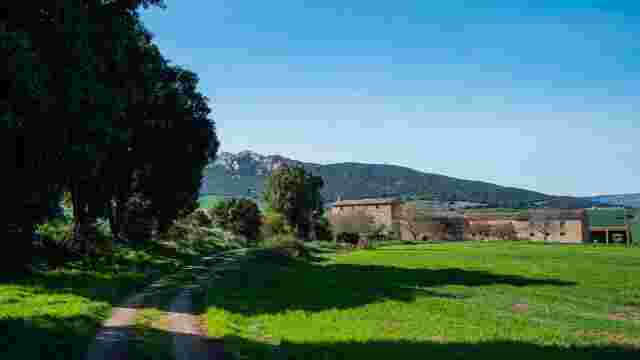 Monumento Natural Nº 3 Encino de Cábrega