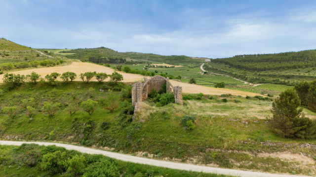 Hipogeo de Longar y ermitas de Viana y Aras