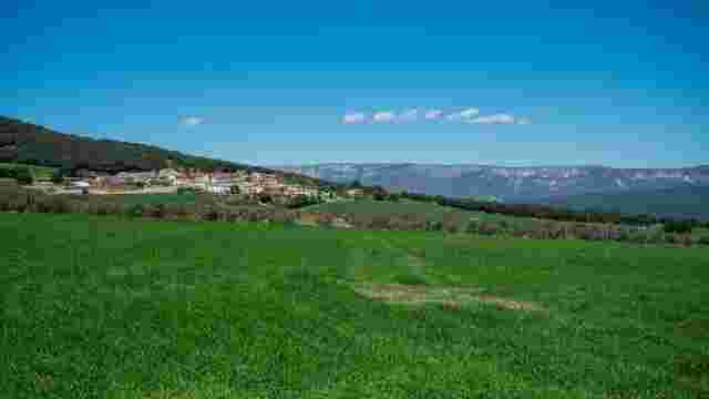 Asarta