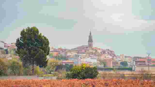 Mendavia