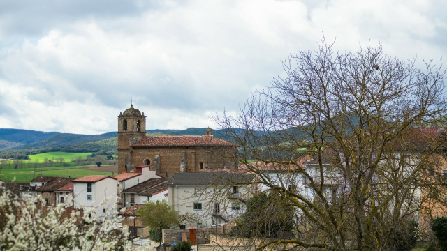 Etapa 6: Genevilla – Laguardia